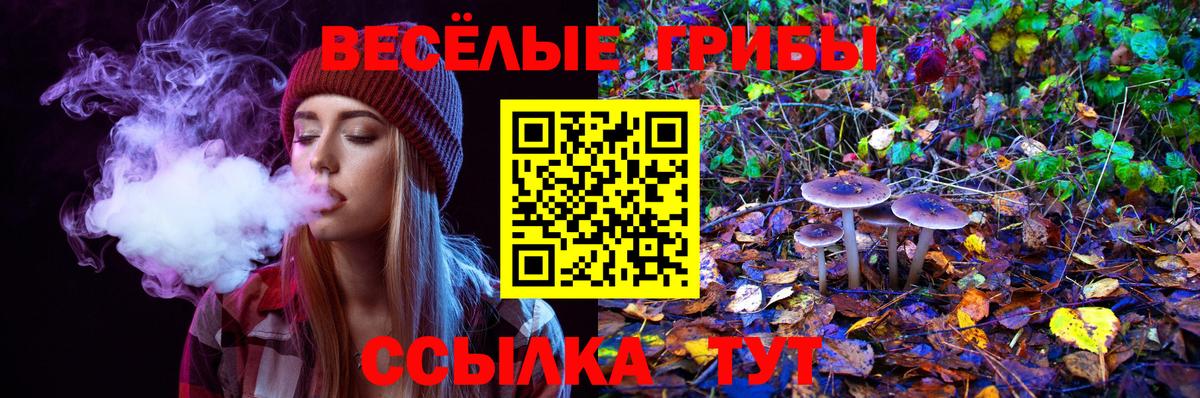 Псилоцибиновые грибы ЛСД  Вход с VPN  Южноуральск  где купить   Псилоцибиновые грибы мицелий 