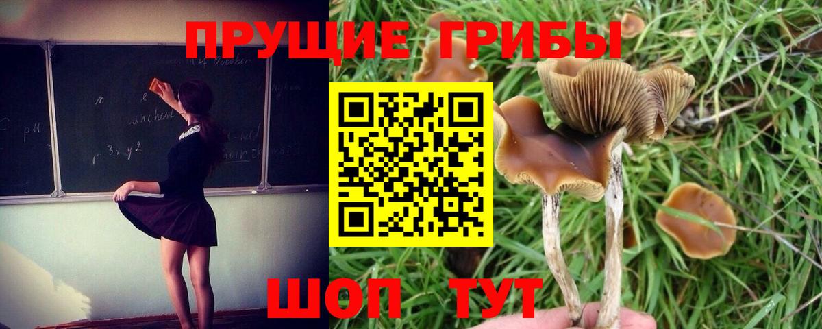 Псилоцибиновые грибы прущие грибы Южноуральск